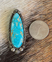 Load image into Gallery viewer, Montezuma Royston