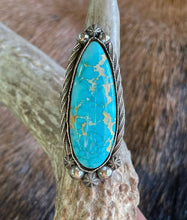 Load image into Gallery viewer, Montezuma Royston