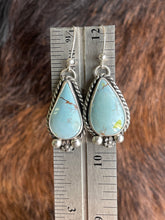 Load image into Gallery viewer, Sandhill Dangle Earrings