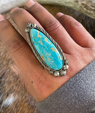 Load image into Gallery viewer, Montezuma Royston