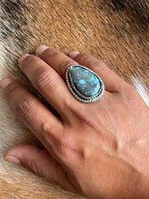 Load image into Gallery viewer, The Calypso Blues