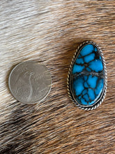 Load image into Gallery viewer, Cloud Mountain Stamped Hotness