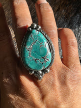 Load image into Gallery viewer, Hubei Turquoise Big Hoss
