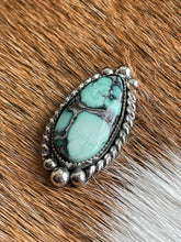 Load image into Gallery viewer, Fancy like Calypso
