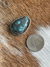 Load image into Gallery viewer, The Calypso Blues
