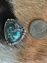 Load image into Gallery viewer, High Grade Calypso Stamped Beauty
