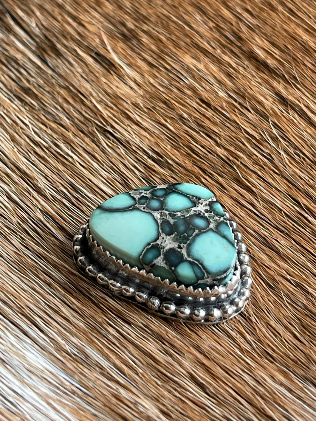 Wear Me all Day Calypso